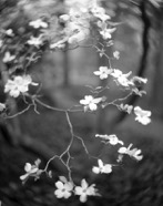 gerald_figal02