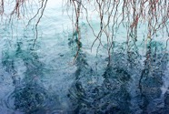 James DeMain - Weeping_Willow