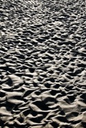 John Brassil  - pawley's-island-sand-ripples
