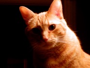 DSCN0302_2