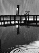 IMG_1535_2_2