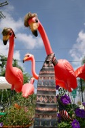 Virgil_Fox_Flamingos