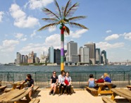 governor's island palm tree wide
