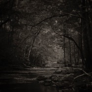 J_Atnip_Something Wicked this Way Comes