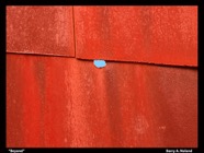 2700715547_292a27498c