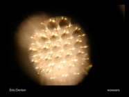 2700716171_c7d16c6932