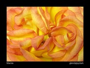 2700720575_94820ff2dc