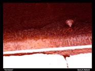 2701528748_cf1809f18e