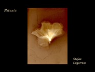 2701532712_ff8c346338