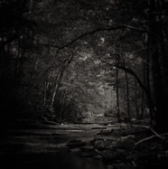 Jerry Atnip, inspired by Sally Mann